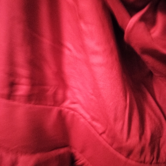 Raspberry Tank Dress (Torrid) - Picture 4 of 6